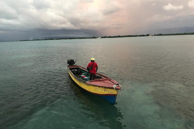 YS Falls, Black River Safari, Floyd’s Pelican Bar - Key points at a glance