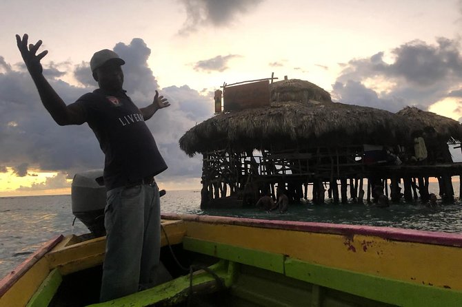 YS Falls, Black River Safari, Floyd’s Pelican Bar - A full day built around three different Jamaica experiences