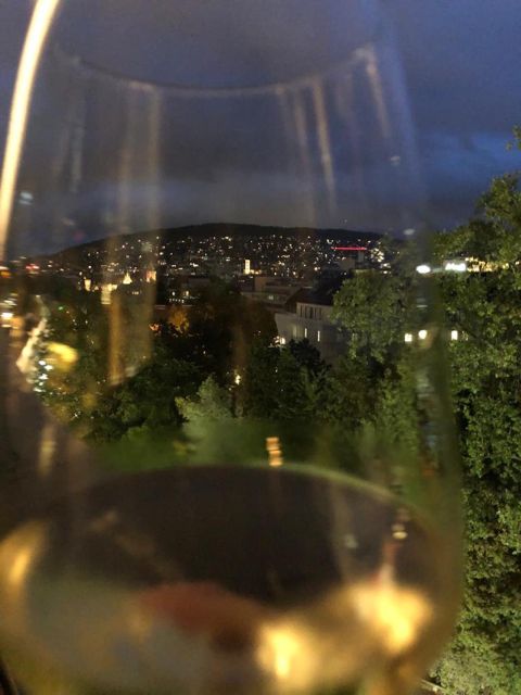 Zurich: bar tour - City views and advice beyond the bars